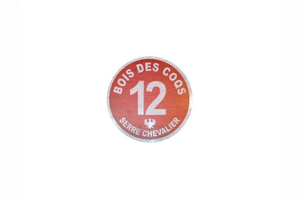Rond de piste 20cm Bois des Coqs