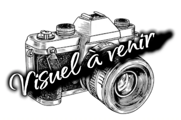 Rond de piste 20cm Multistickers bois blanc Hiver